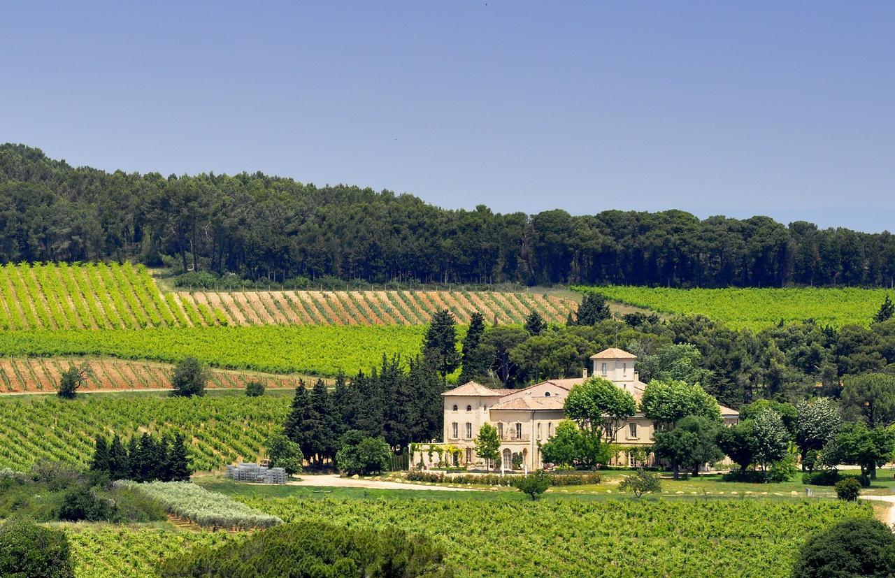 Chambre D'Hotes Chateau Gigognan Sorgues Exterior photo